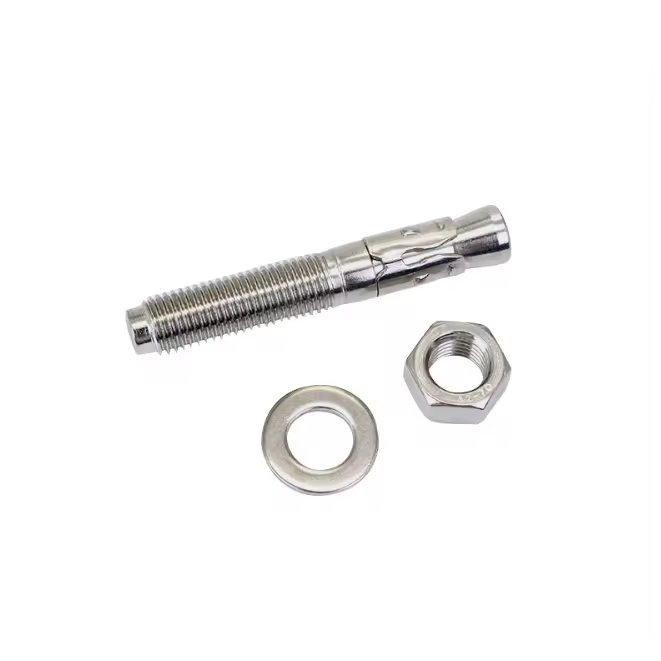 M8 M10 M12 M14 M16 M20 M24 Wedge Anchor Bolt Through Bolt Expansion Bolt Sus 304 316