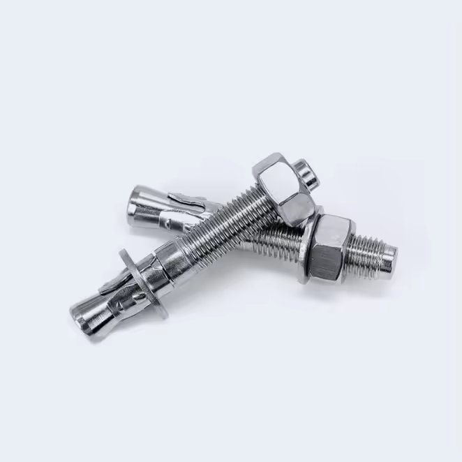 M8 M10 M12 M14 M16 M20 M24 Wedge Anchor Bolt Through Bolt Expansion Bolt Sus 304 316