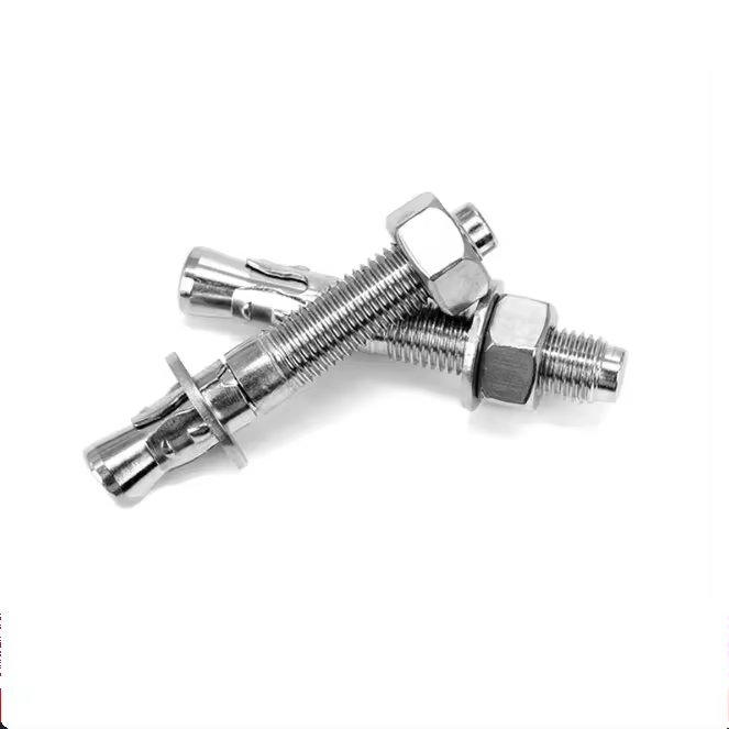 M8 M10 M12 M14 M16 M20 M24 Wedge Anchor Bolt Through Bolt Expansion Bolt Sus 304 316