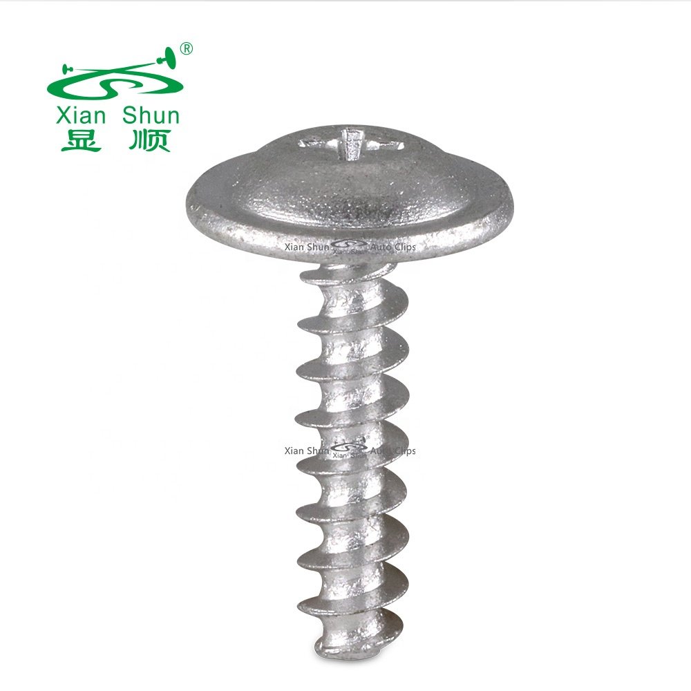 Xianshun auto fastener Metal screw phillips truss phillips pan head stainless steel black coating for vehicle and household