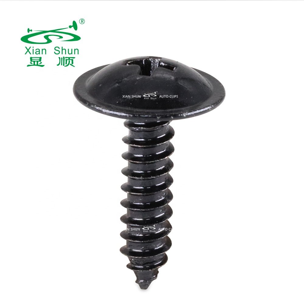 Xianshun auto fastener Metal screw phillips truss phillips pan head stainless steel black coating for vehicle and household
