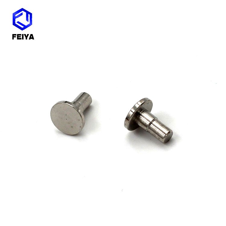 Non-Standard Stainless Steel Flat Head Round Pattern Rivets Carbon Steel with Plating Technique for Tubular Applications