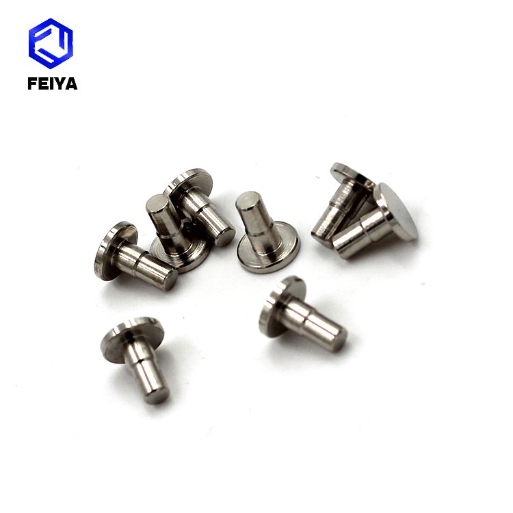 Non-Standard Stainless Steel Flat Head Round Pattern Rivets Carbon Steel with Plating Technique for Tubular Applications