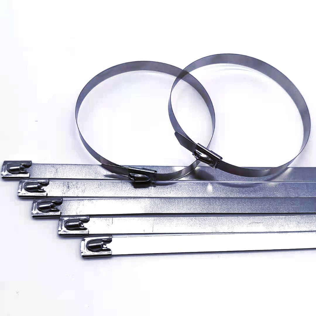 Cable Tie Online Factory Store Low-cost Direct Selling 201/304 Stainless Steel 2021 New Self-locking 100pcs/bag Gpss12*300mm