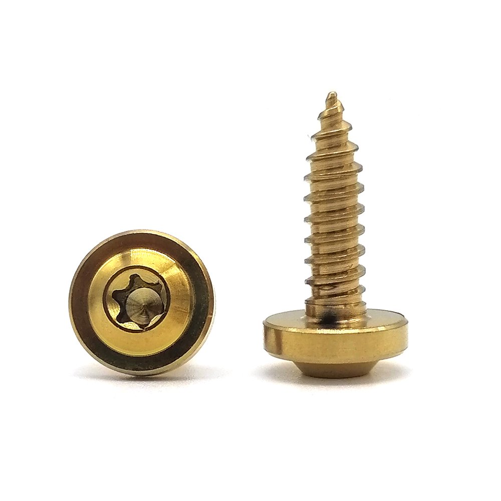 Customized M1.6 M1.8 M2 M2.2 M2.5 M3 M4 M5 M6 Torx Head Self Tapping Screw for Plastics T20 Pan Head Torx Screw