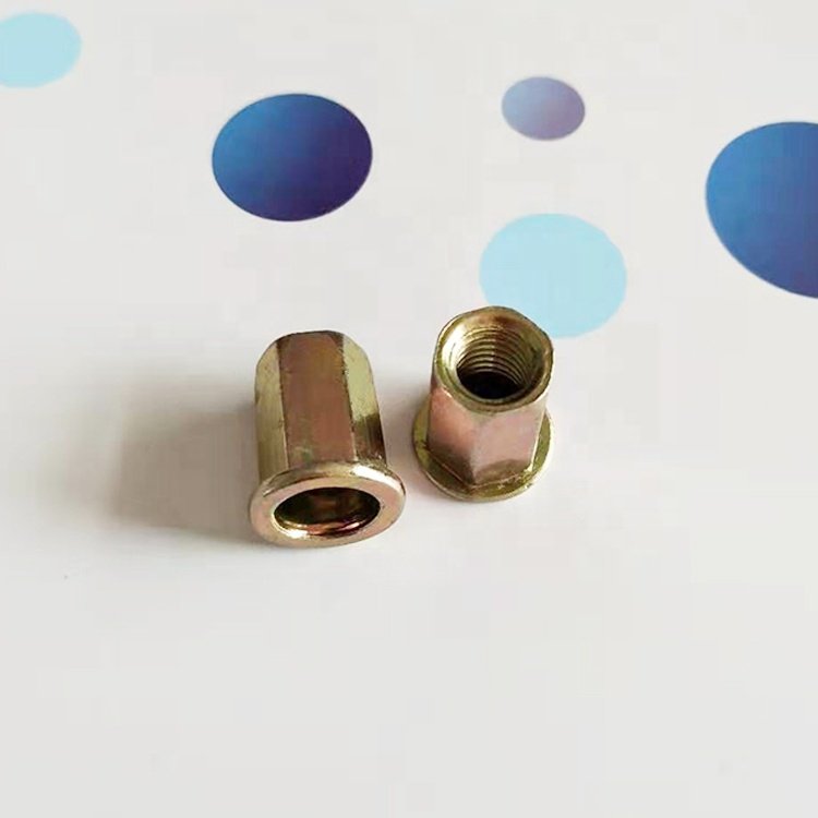 HIGH PRECISION STAINLESS STEEL AUTO FASTENER RIVET NUT
