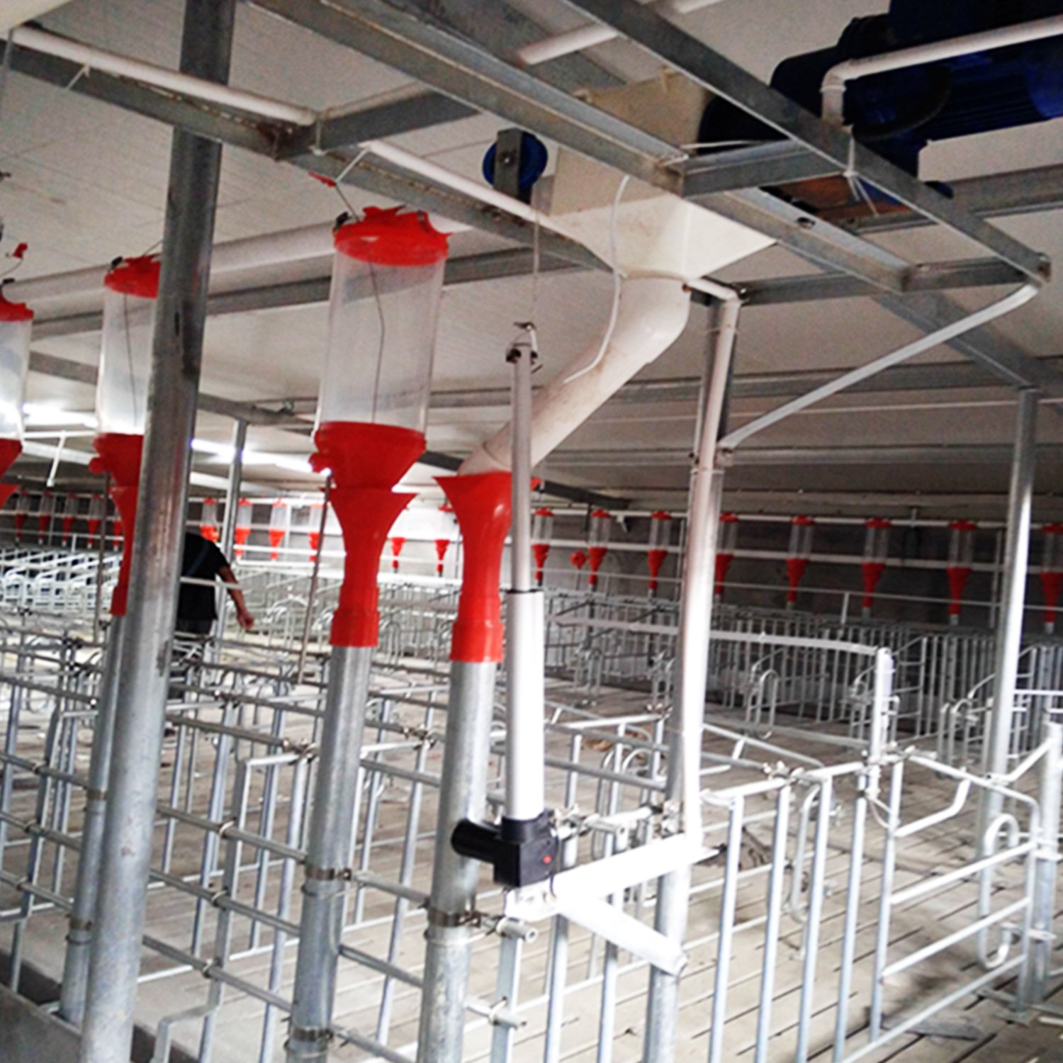 New Promotion Automatic Livestock Feeders granja de cerdo