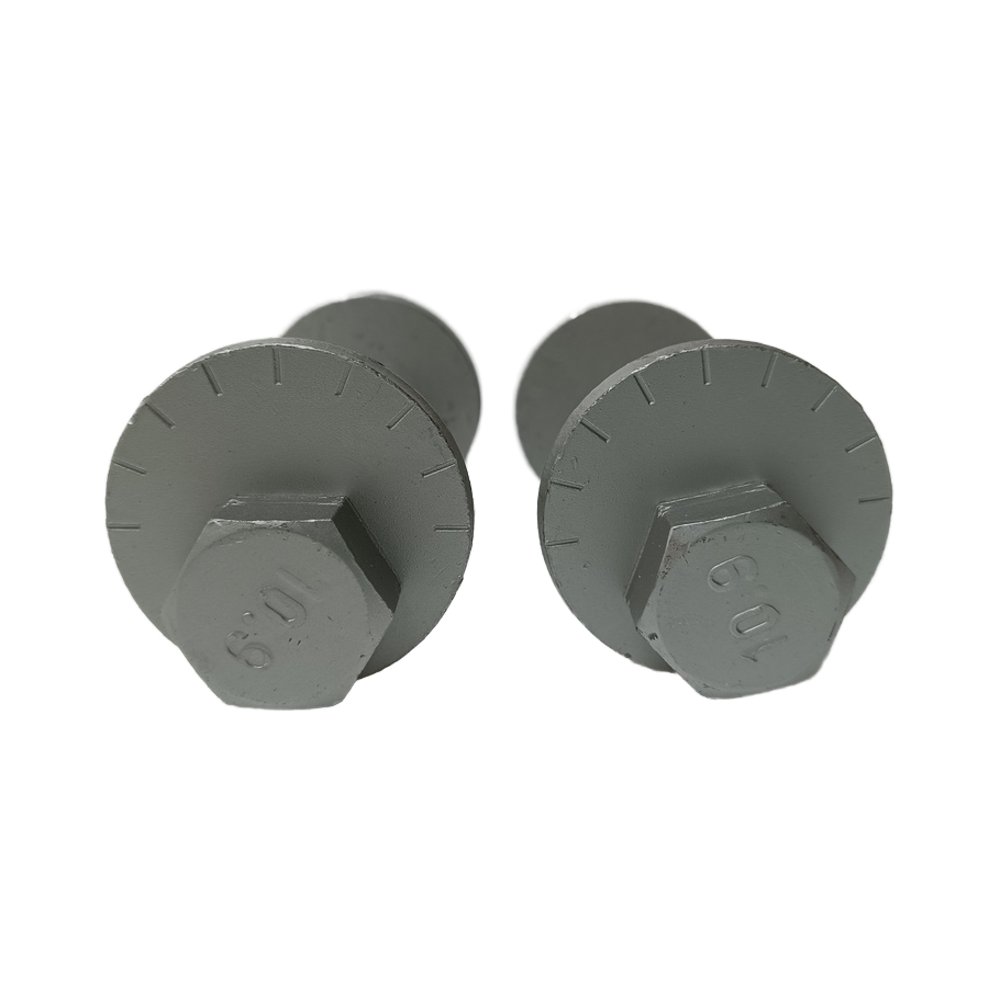 Steel Fastener Car Bolt A0003331071 For Mercedes-Benz C180 CDI Blue EFFICIENCY/CLS 63 AMG S-MODELL Camber Bolt Kit