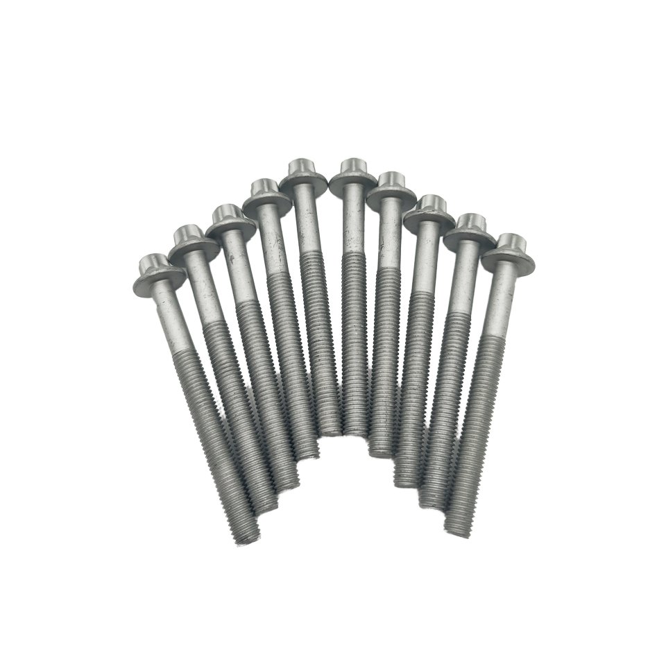 China directly supplier Valve Cover Bolt 10*100 for BMW