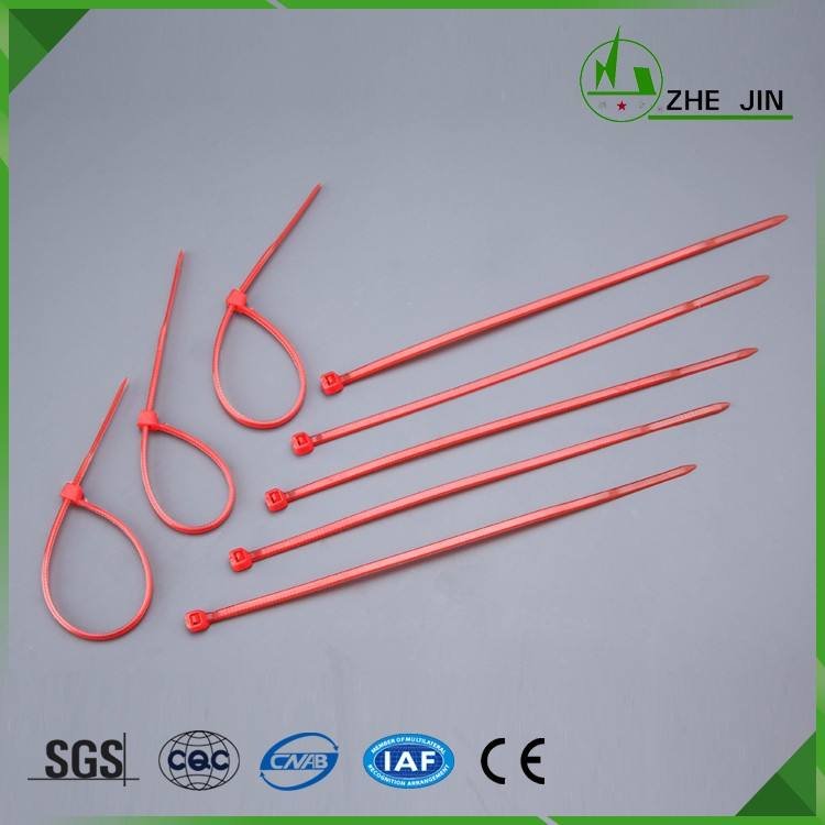 China Wholesale Fasteners Auto Parts Wiring Accessories Plastic Wire Strap