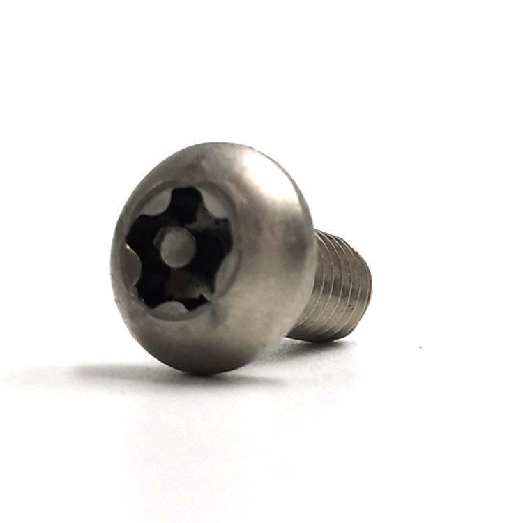 China Supplier T6 T8 T10 T20 Torx Security Screw Stainless Steel Titanium Torx Screws for Auto Industry