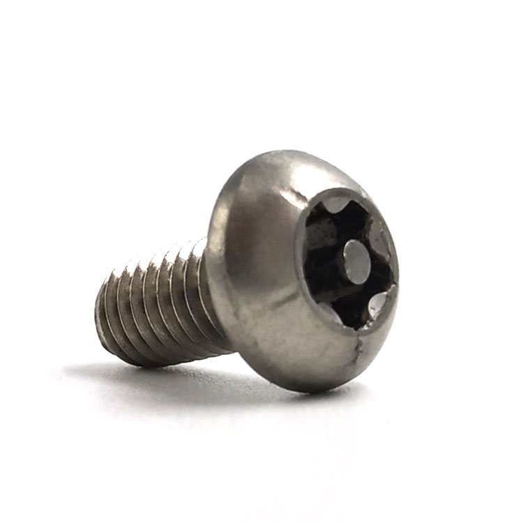 China Supplier T6 T8 T10 T20 Torx Security Screw Stainless Steel Titanium Torx Screws for Auto Industry