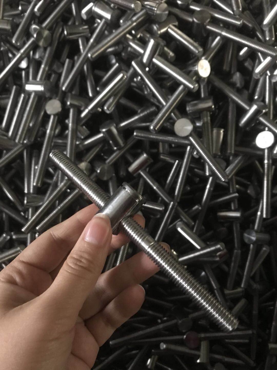 Excellent Quality Wedge Anchor Bolt Stainless Steel Fastener Bolt Wedge Anchor