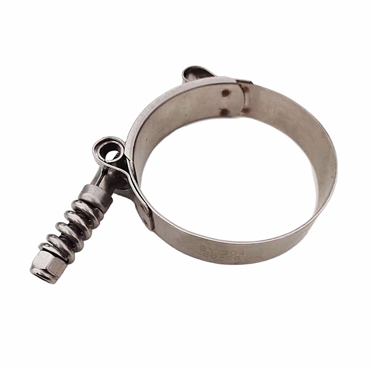 Spring T-bolt hose clamp for auto