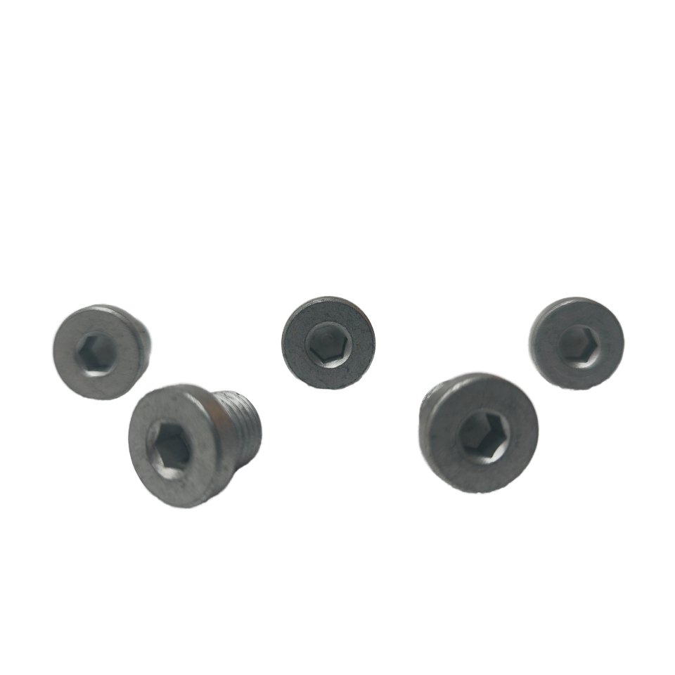 Auto Fastener & Clip Oil Drain Bolt Screw WHT000206A for Volkswagen Touareg