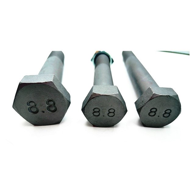 China Factory Fasteners Grade 8.8 Heavy Hex Bolt and Nut M20, M24