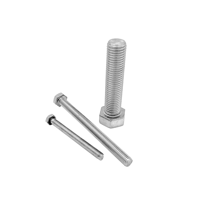 Fastener 304 Stainless Steel Hex Bolt M6 M10 M20 M30 M42 M48 Hex Head Bolt