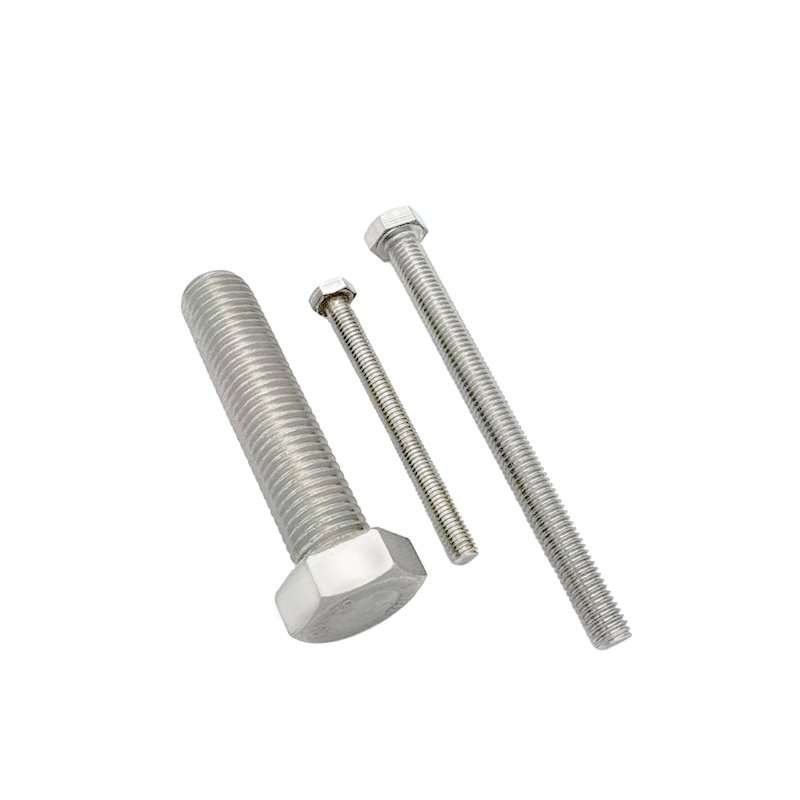 Fastener 304 Stainless Steel Hex Bolt M6 M10 M20 M30 M42 M48 Hex Head Bolt
