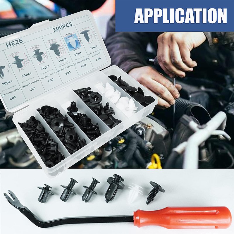 100Pcs 6 Sizes Auto Body Repair Fastening Rivets Assorted with Fastener Remover