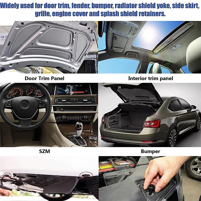 100Pcs 6 Sizes Auto Body Repair Fastening Rivets Assorted with Fastener Remover
