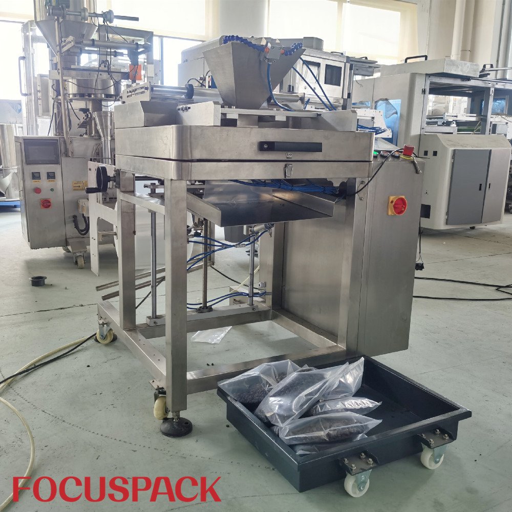 Focuspack Automatic PE Tubular Film Bagging Machine Factory Price Pillow Bag Packing Screw Packing Filling Sealing Pouch