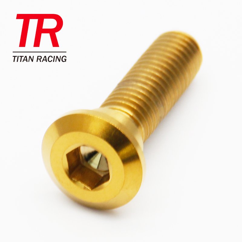KAWASAKI TITANIUM DISC bolt M8x30 1.25 pitch