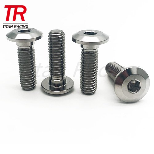 KAWASAKI TITANIUM DISC bolt M8x30 1.25 pitch