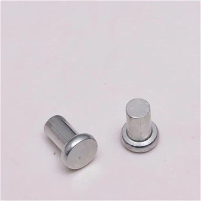 Stainless Steel Round Head Rivet Clutch Facing Rivet For Automobile Nail Rivets Stainless Steel