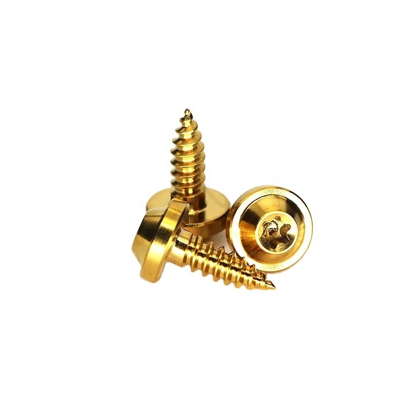 High strength Fastener M5 Disc head screw Gr5 Titanium alloy screws self-tapping screws bolts