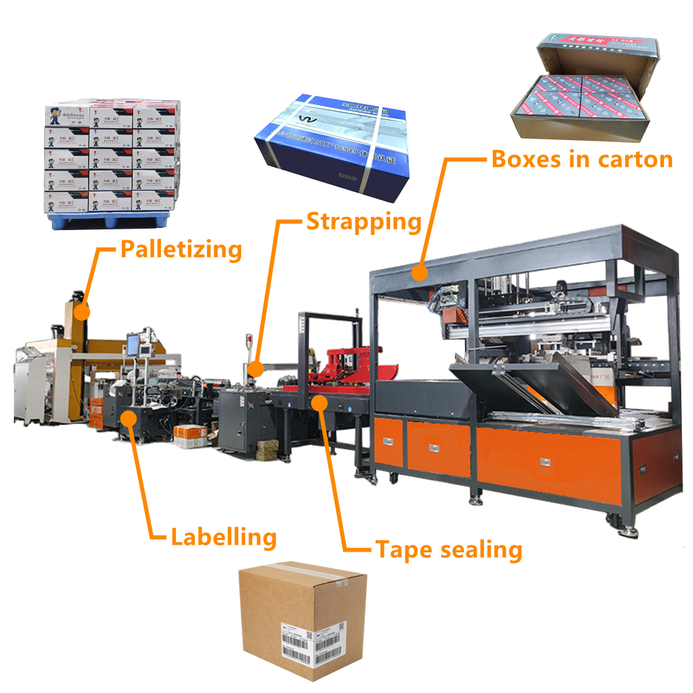Focus Machinery 2024 hot sell full auto carton box packaging machine with taping labelling strapping machine