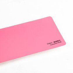 T5025