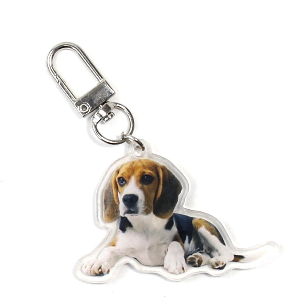 Custom Cheap Birthday Gift Car Key Man Woman Cute Animal Pet Metal Ring Clear Acrylic Dog Keychains