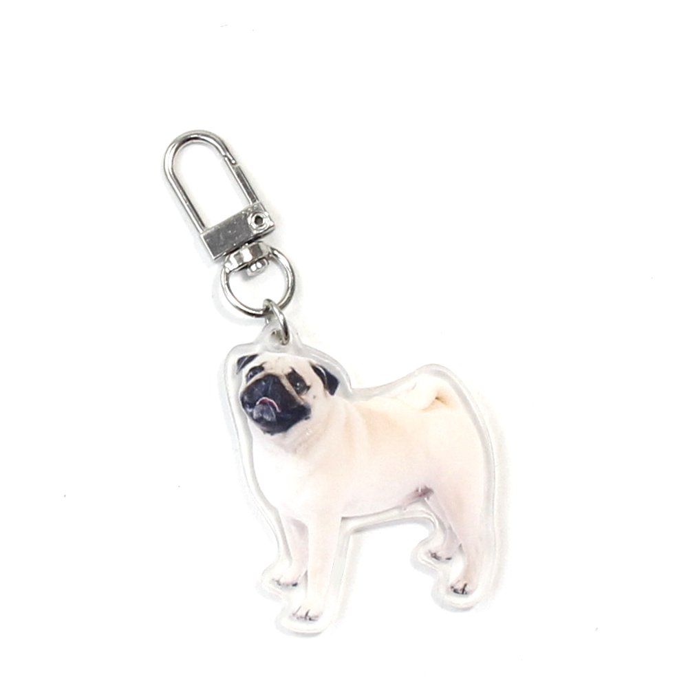 Custom Cheap Birthday Gift Car Key Man Woman Cute Animal Pet Metal Ring Clear Acrylic Dog Keychains