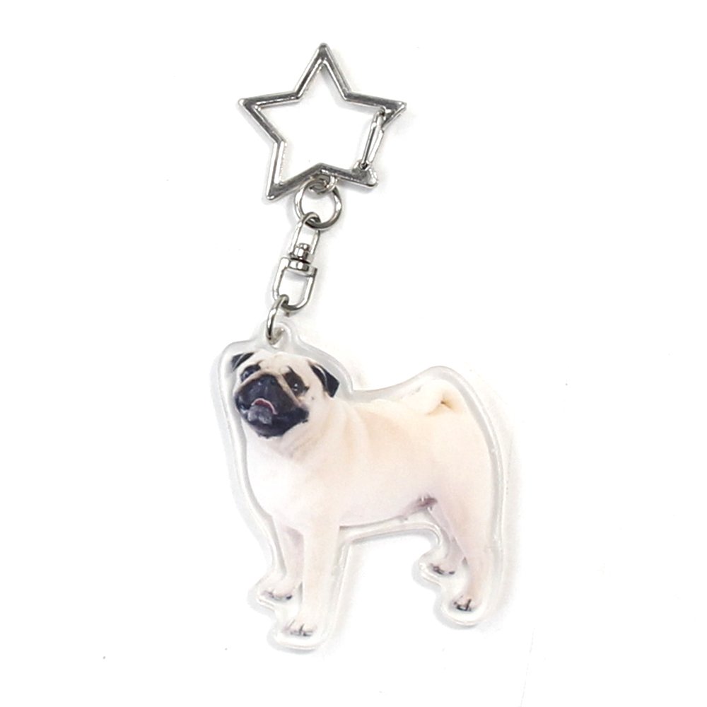 Custom Cheap Birthday Gift Car Key Man Woman Cute Animal Pet Metal Ring Clear Acrylic Dog Keychains