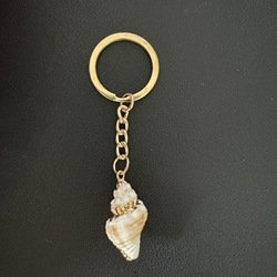 Keychain-20