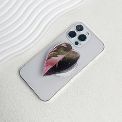 CX-h01
