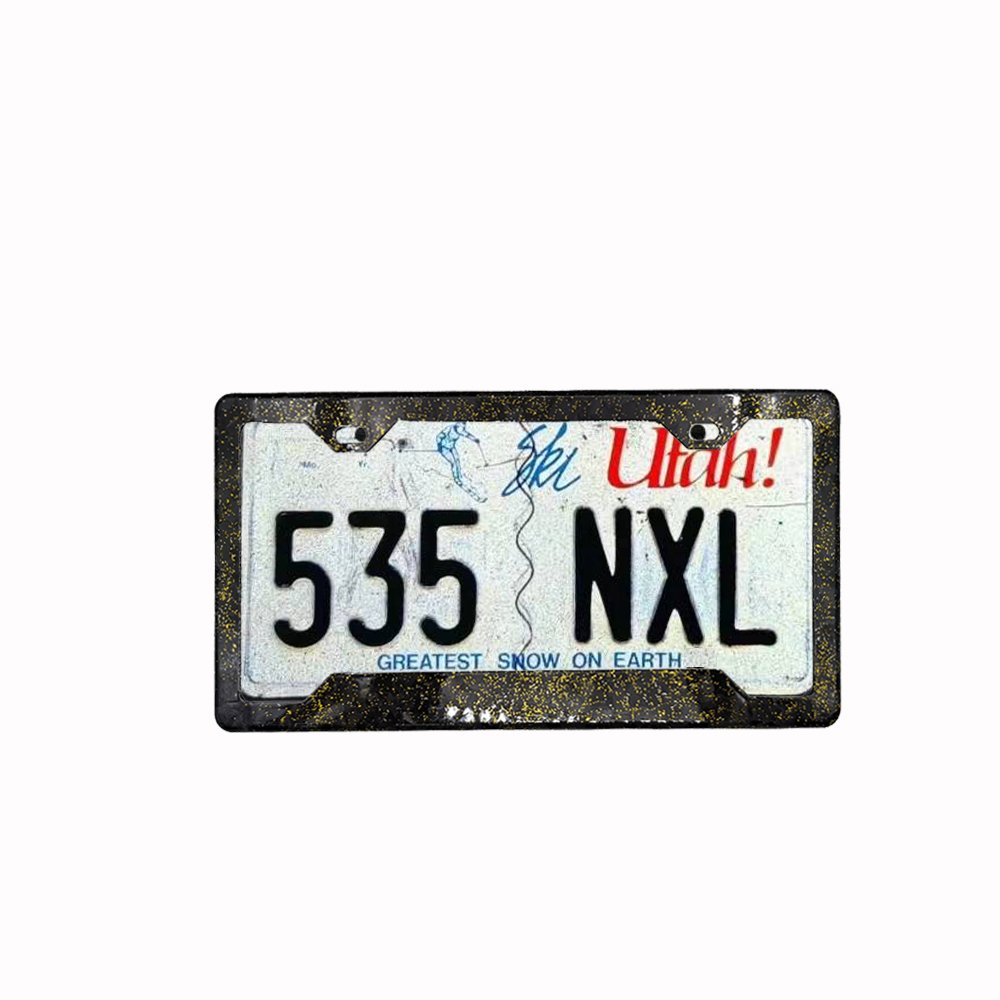 USA &CANADA Low MOQ 1 Piece 100% forged black/golden Carbon fiber car license plate frame holder with Two holes for model 004