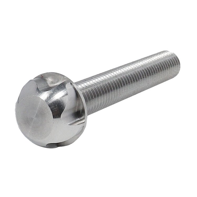 Stainless Steel Bicycle M6 M8 M10 M12 Torx Security Screw Anti-theft Screw
