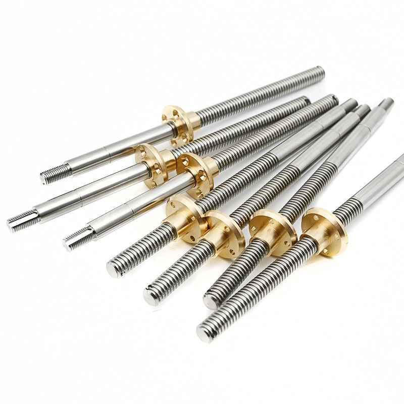 Customized Tr10x1 Tr10x2 Tr10x3 Tr10x4 Tr10x6 Tr10x8 Tr10x10 Tr10x12 Tr10x14 Tr10x16 Tr10x20 Trapezoidal lead screw