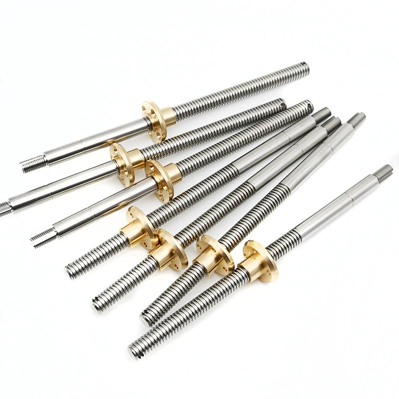 Customized Tr10x1 Tr10x2 Tr10x3 Tr10x4 Tr10x6 Tr10x8 Tr10x10 Tr10x12 Tr10x14 Tr10x16 Tr10x20 Trapezoidal lead screw