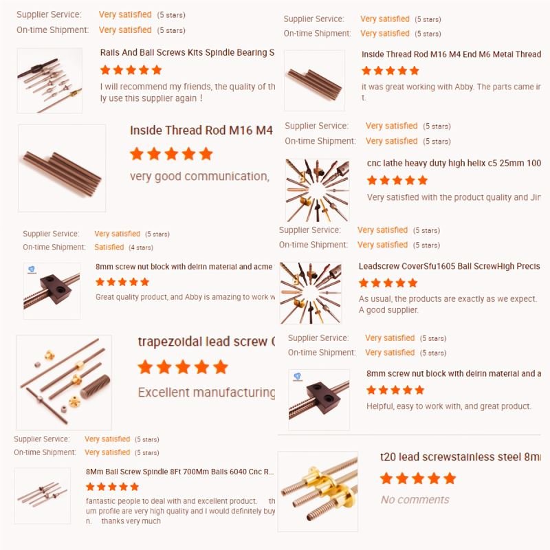 16Mm Ball Screw Pmi Nmc Mini Ballscrew Leadscrew Acme Lead T10 Zhejianghscrew Tr4 Sfy Sfs Sfk Sfa Sf Linear Rail Makino Spindle
