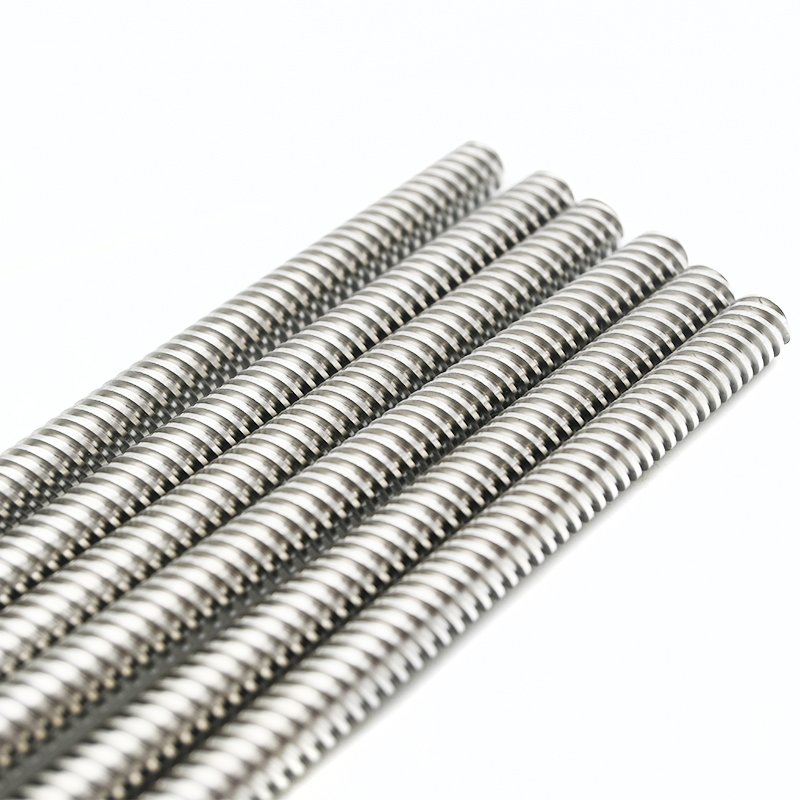 304 stainless steel Tr8*8 lead screw 600mm length trapezoidal lead screw with brass nut
