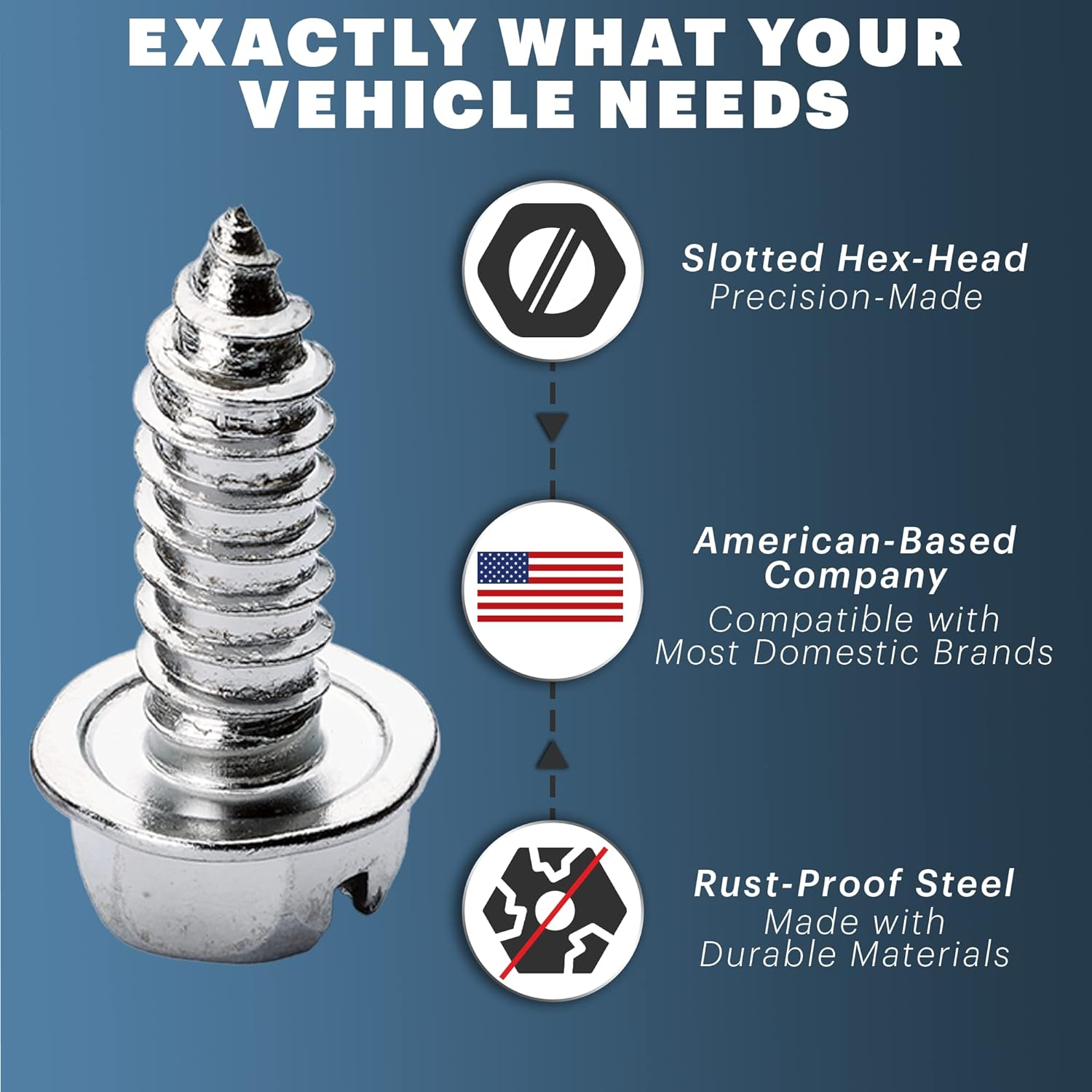 License Plate Screw for Front & Rear Plates with Rustproof Slotted Hexagonal Hex Washer Head Finish Self Tapping Screws