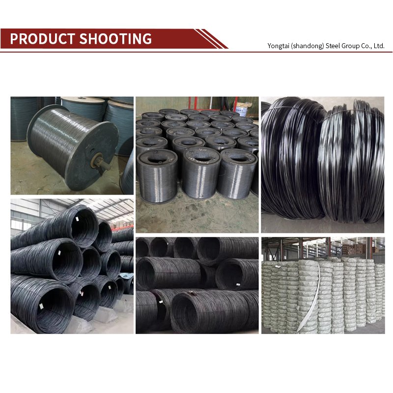 Factory Direct High Tensile Precise Black Spring Steel Wires For Tester And Screw Drivers For Industrial