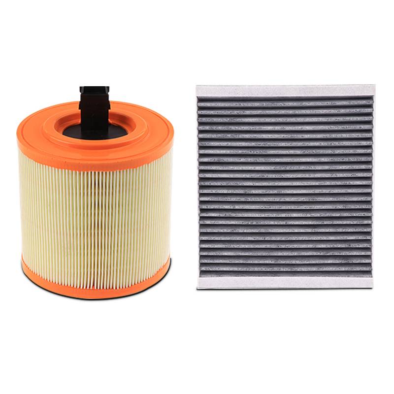 Original 19-active carbon-20 new air filter at former plant #2017 #17 AC Leaking core