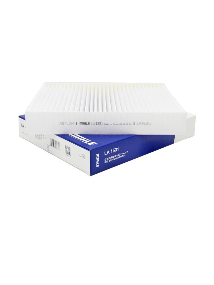 EANY/Aion (one for the original vehicle) Mahler AC core filter