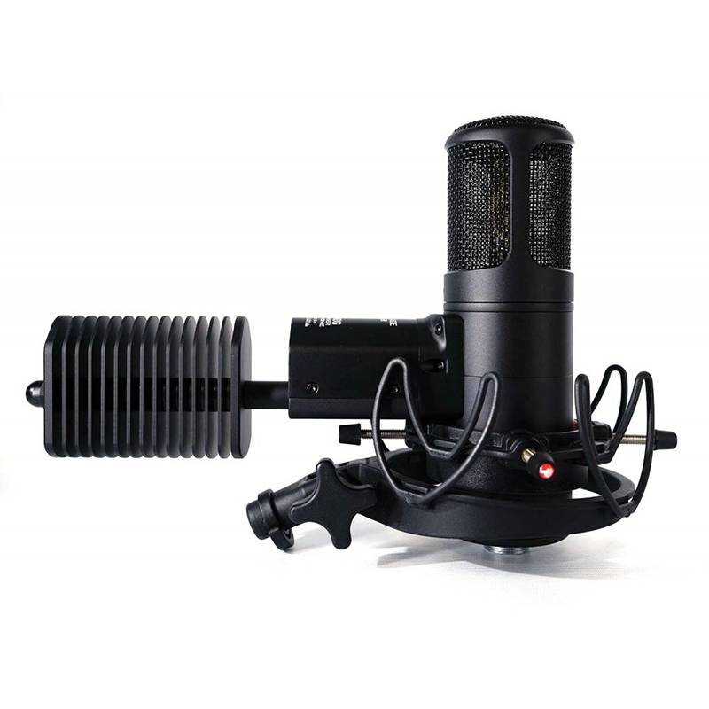 Gapremier GA-800G classic electronic tube microphone configuration cooling condensate system import microphone