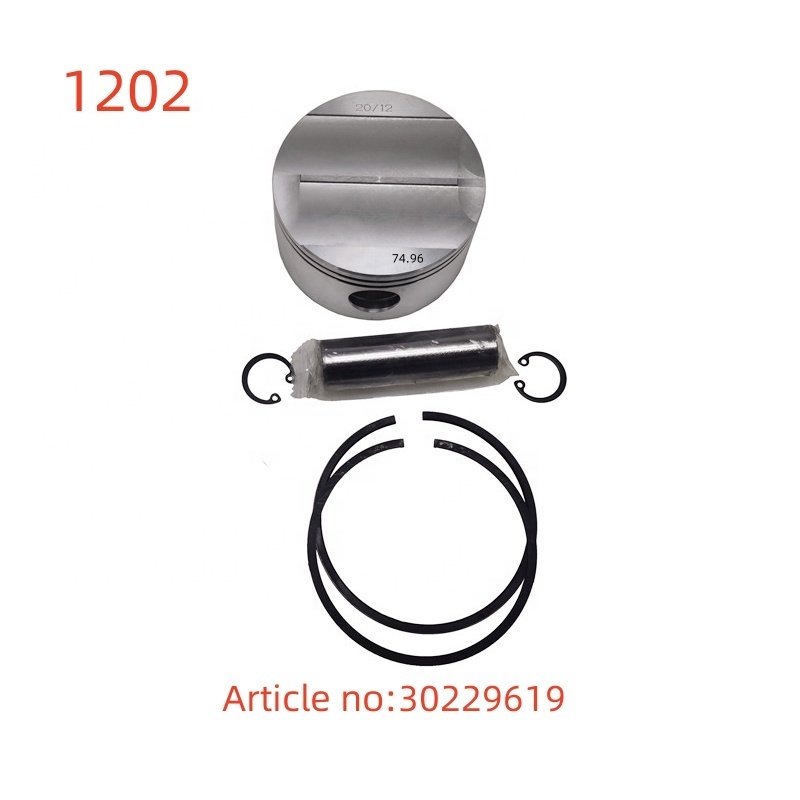 30229619 8GC-50.2 8GC-60.2 8GCE50Y 8GE-60Y-40P Piston of complete for refrigeration compressor