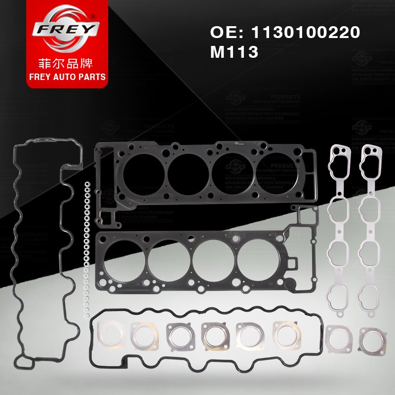 M113 Cylinder head gasket set 1130100220 for Frey Brand New