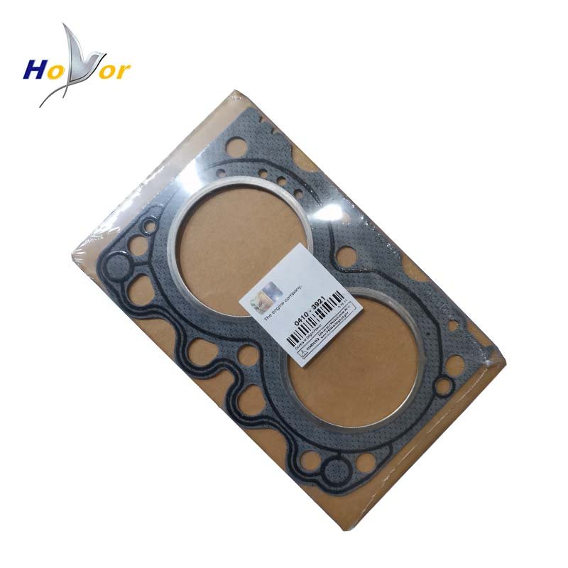 04103921 0410 3921 Diesel Engine Parts Cyinder Head Gasket for Deutz 2011 2012